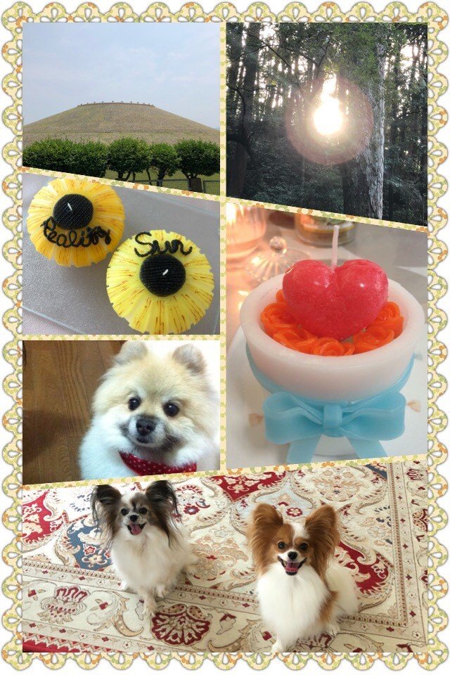 占い師陽葵のお気に入り写真